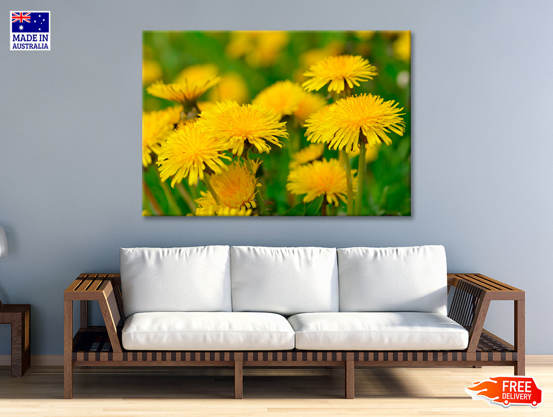 A Group of Yellow Flowers Close-Up View Print 100% Australian Made