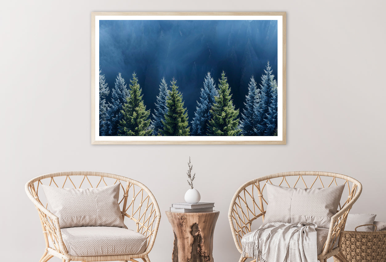 Forest Of Pine Trees Home Decor Premium Quality Poster Print Choose Your Sizes