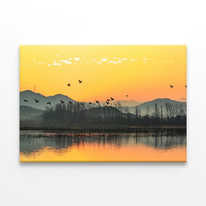 Winter Morning at Junam Reservoir, Korea  Wall Art Decor 100% Australian Made
