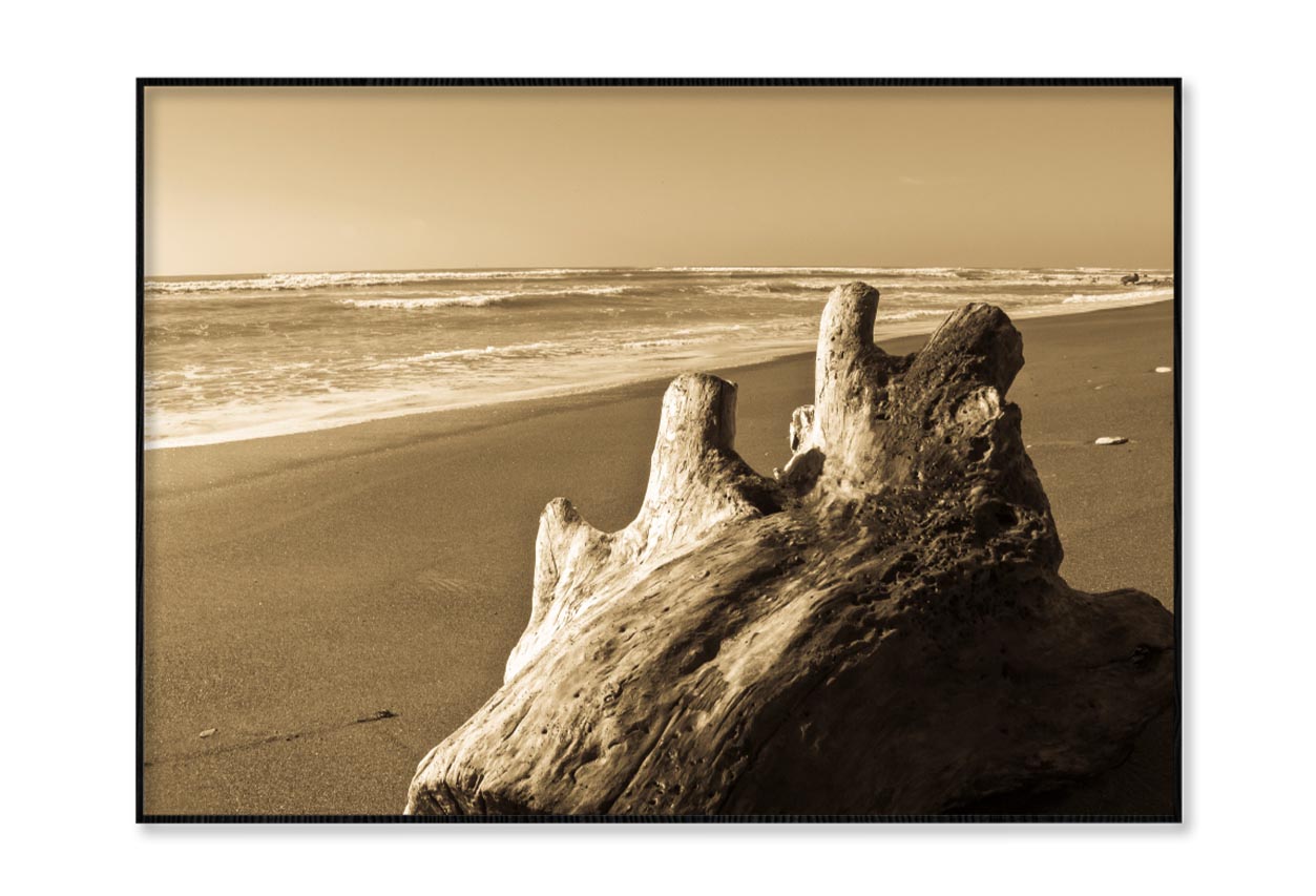 Old Log Driftwood Washed Up on Beach in Sepia Tones Home Decor Premium Quality Poster Print Choose Your Sizes