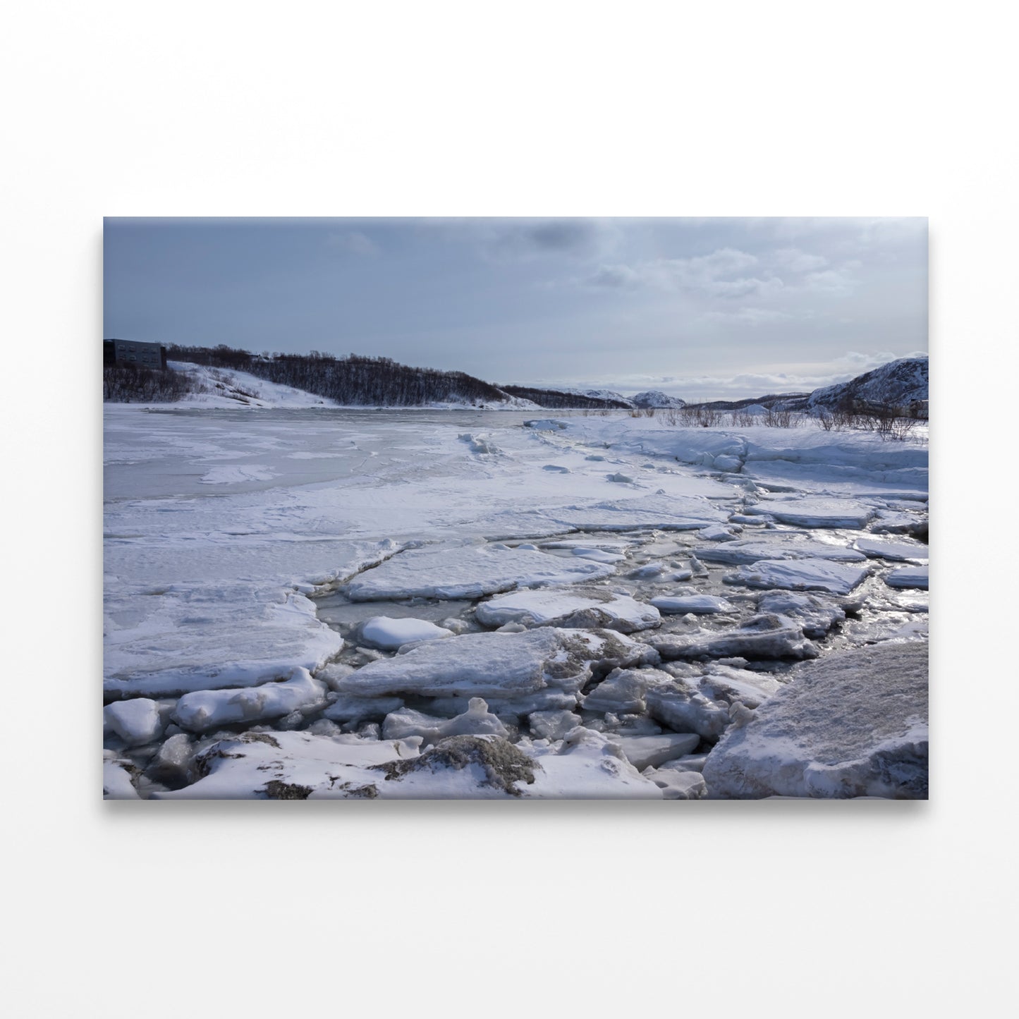 Winter Snow-Covered Trees and a Cloudy Sky Print 100% Australian Made