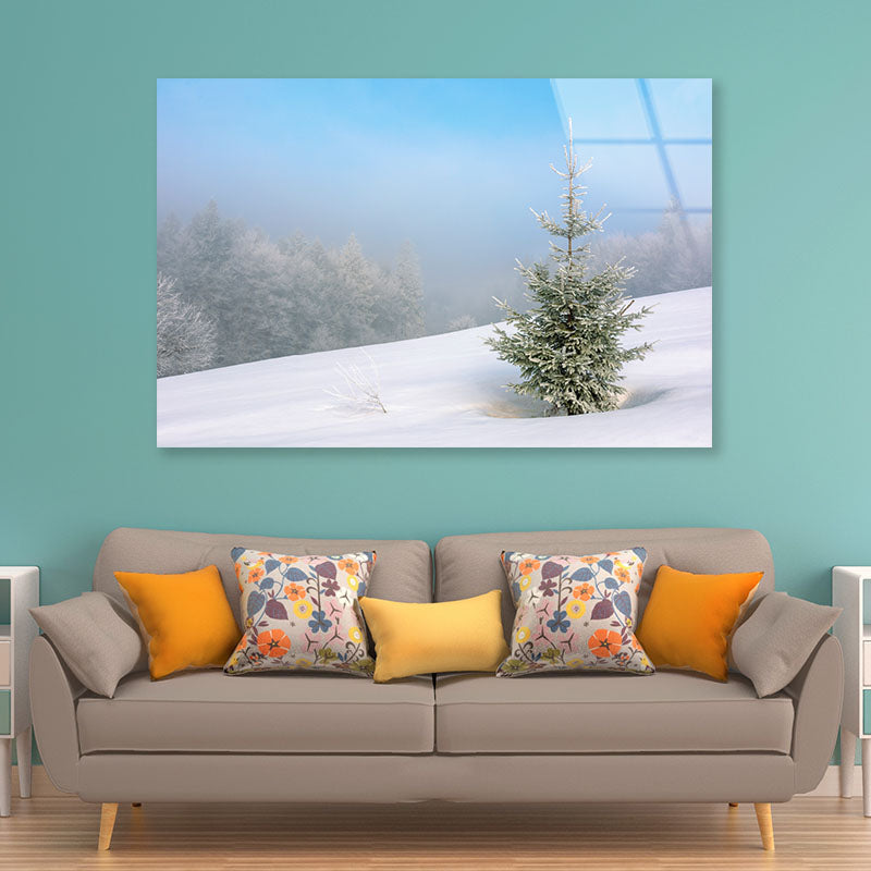 Little Fir Tree Acrylic Glass Print Tempered Glass Wall Art 100% Made in Australia Ready to Hang