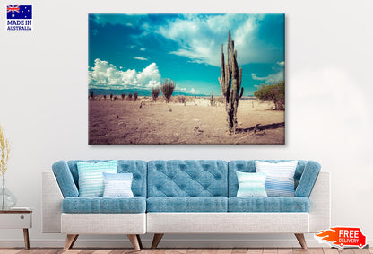 Cactus In Desert  Wall Art Decor 100% Australian Made