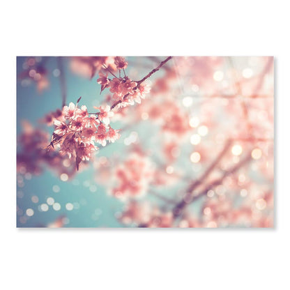 Close-Up Of Beautiful Vintage Sakura Tree Flower Acrylic Glass Print Tempered Glass Wall Art 100% Made in Australia Ready to Hang