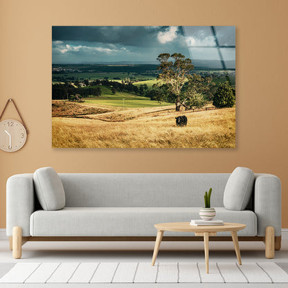 View of Grassland with Trees, Mountains & Sky Acrylic Glass Print Tempered Glass Wall Art 100% Made in Australia Ready to Hang