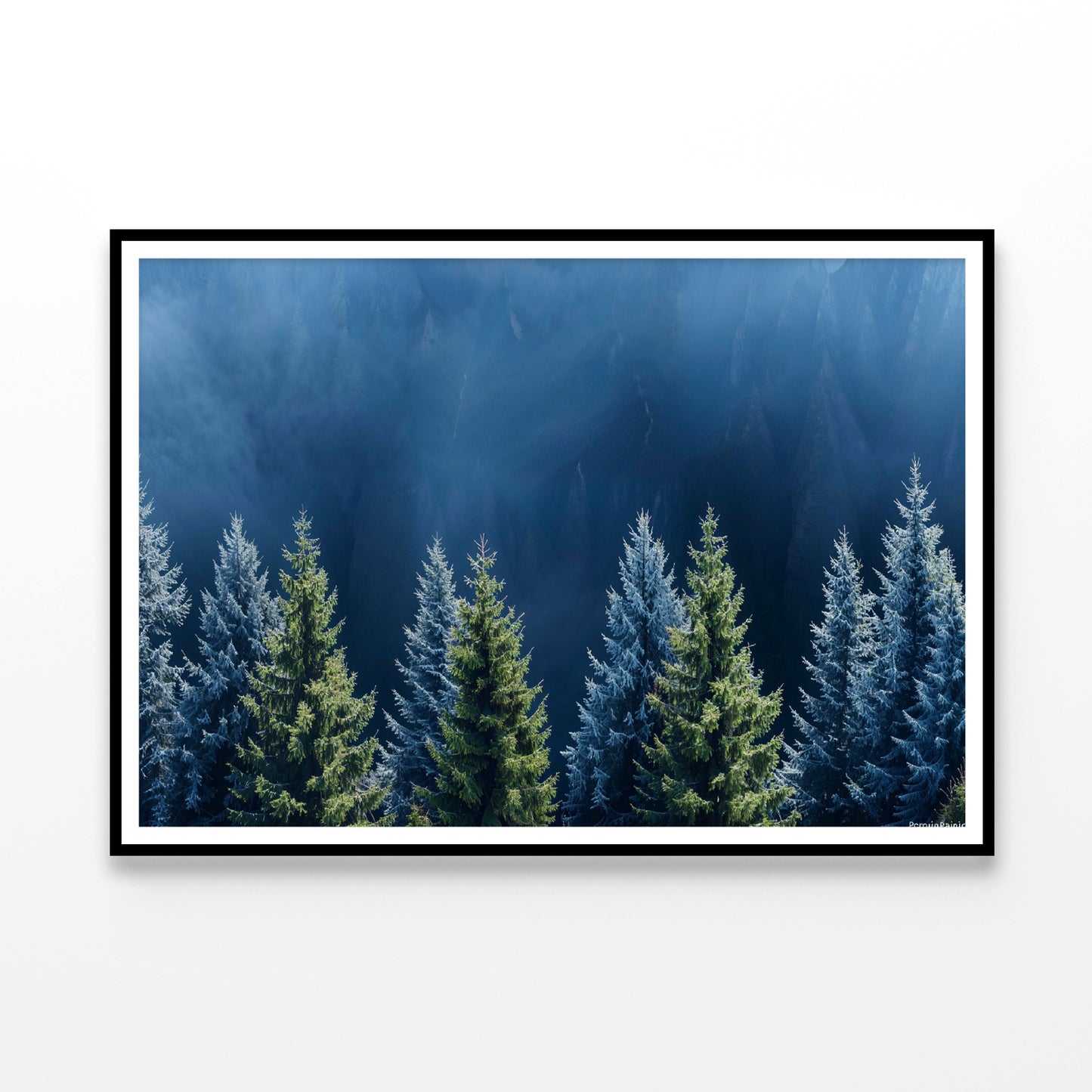 Forest Of Pine Trees Home Decor Premium Quality Poster Print Choose Your Sizes