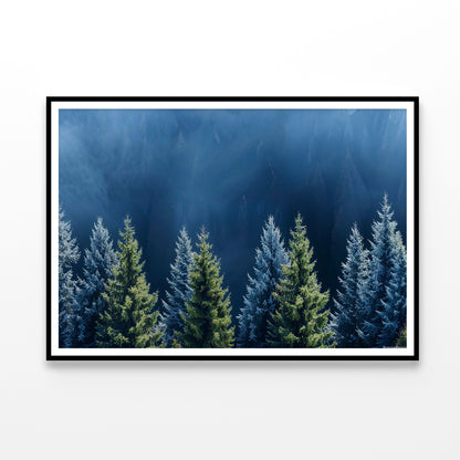 Forest Of Pine Trees Home Decor Premium Quality Poster Print Choose Your Sizes