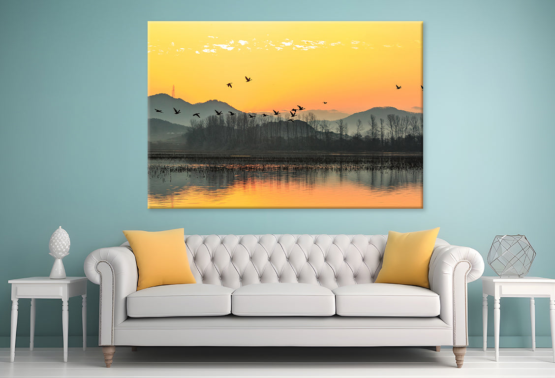 Winter Morning at Junam Reservoir, Korea  Wall Art Decor 100% Australian Made