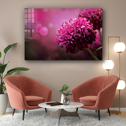 Pink Flower Closeup UV Direct Aluminum Print Australian Made Quality