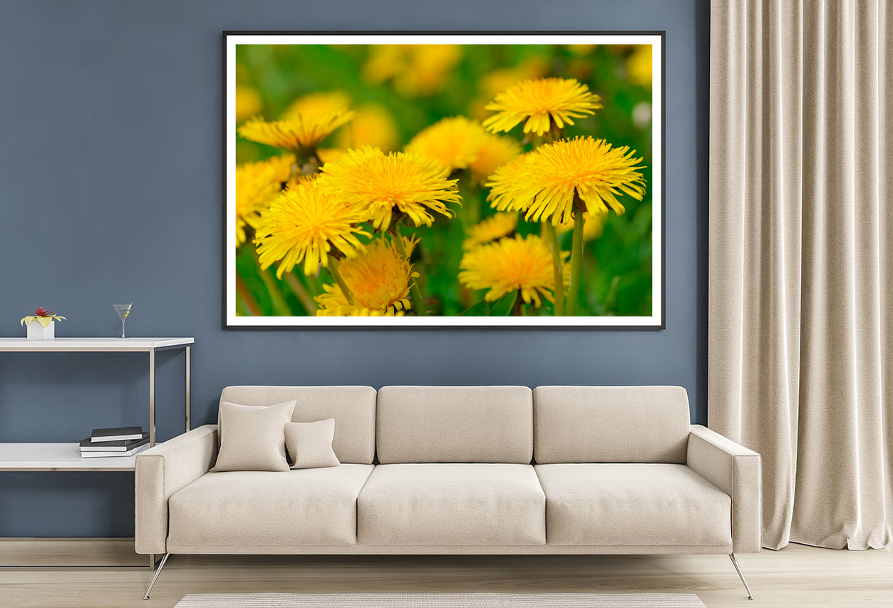 A Group of Yellow Flowers Close-Up View Home Decor Premium Quality Poster Print Choose Your Sizes