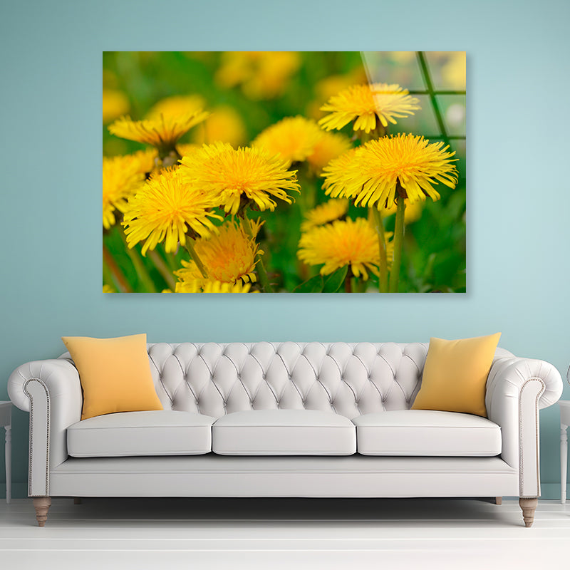 A Group of Yellow Flowers Close-Up View Acrylic Glass Print Tempered Glass Wall Art 100% Made in Australia Ready to Hang