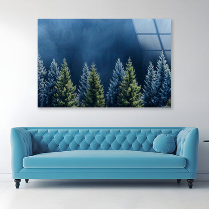 Forest Of Pine Trees Acrylic Glass Print Tempered Glass Wall Art 100% Made in Australia Ready to Hang