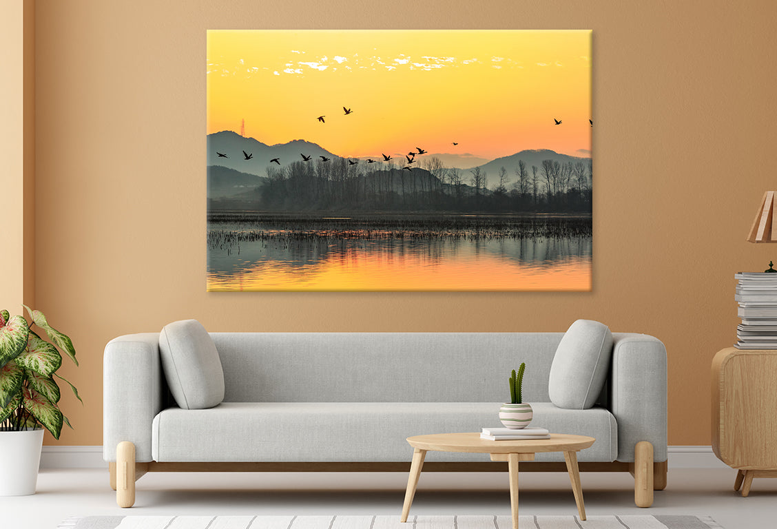 Winter Morning at Junam Reservoir, Korea  Wall Art Decor 100% Australian Made