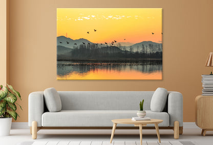 Winter Morning at Junam Reservoir, Korea  Wall Art Decor 100% Australian Made