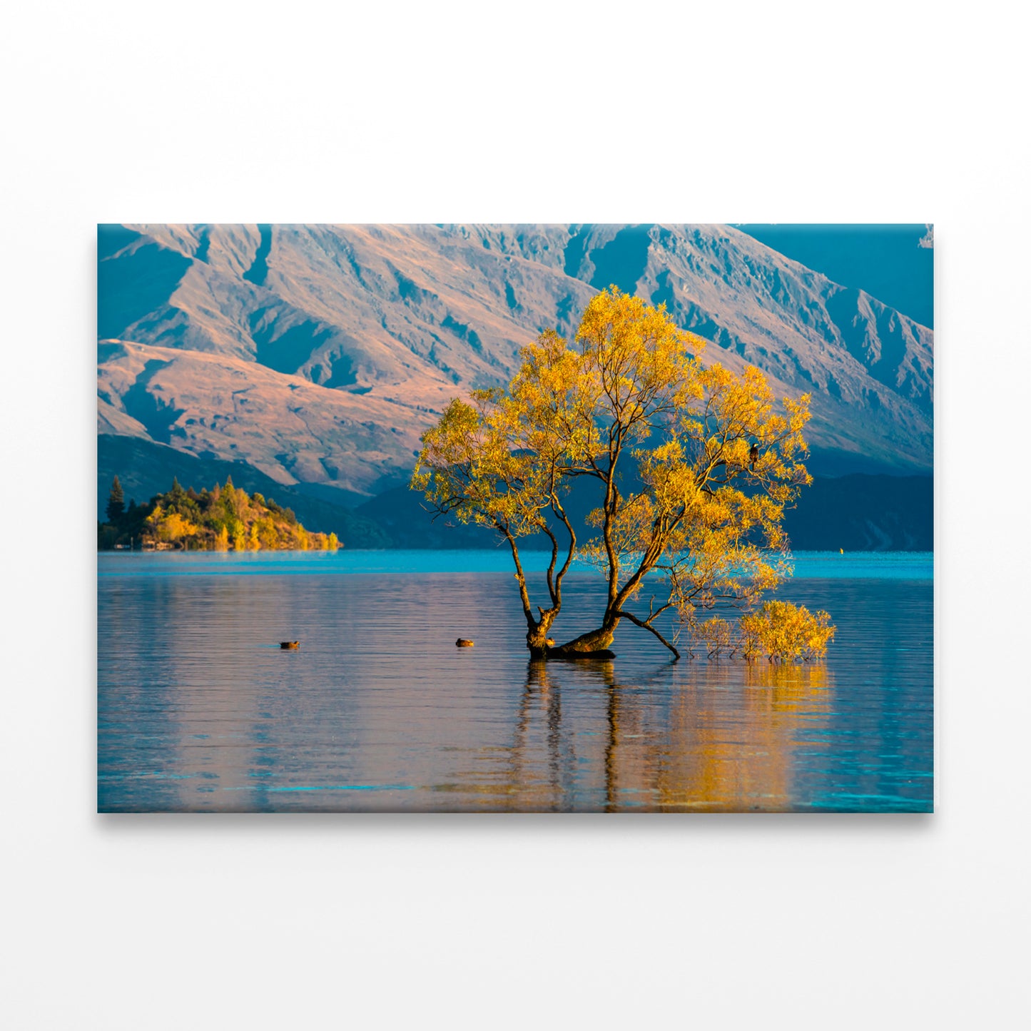 Morning Grass on Water Wall Art Decor 100% Australian Made