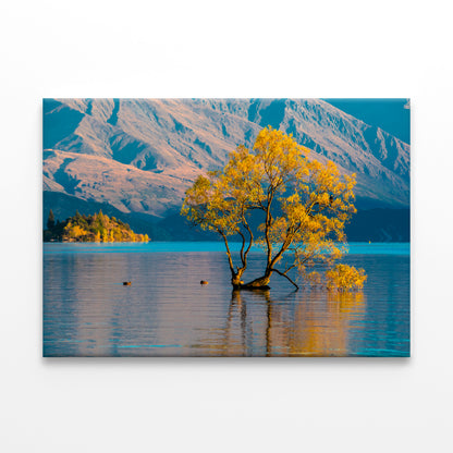 Morning Grass on Water Wall Art Decor 100% Australian Made