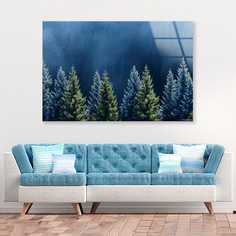 Forest Of Pine Trees Acrylic Glass Print Tempered Glass Wall Art 100% Made in Australia Ready to Hang