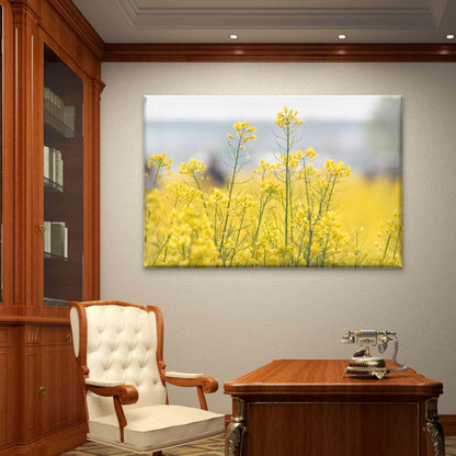Yellow Rapeseed Flower Wall Art Decor 100% Australian Made