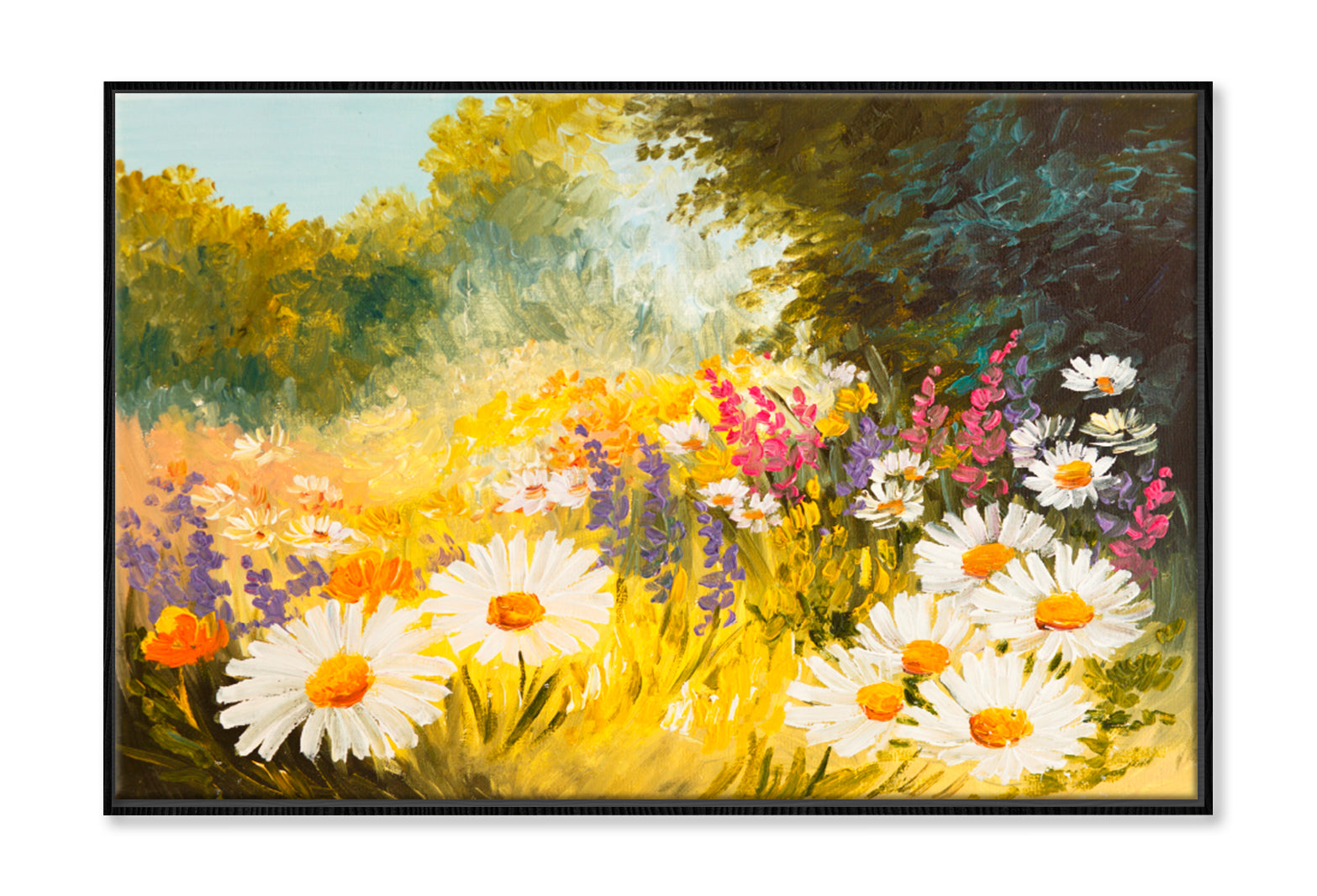 Field Of Daisies Oil Painting Wall Art Limited Edition High Quality Print Canvas Box Framed Black