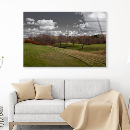 Tree Scenery with Black & White Sky Acrylic Glass Print Tempered Glass Wall Art 100% Made in Australia Ready to Hang