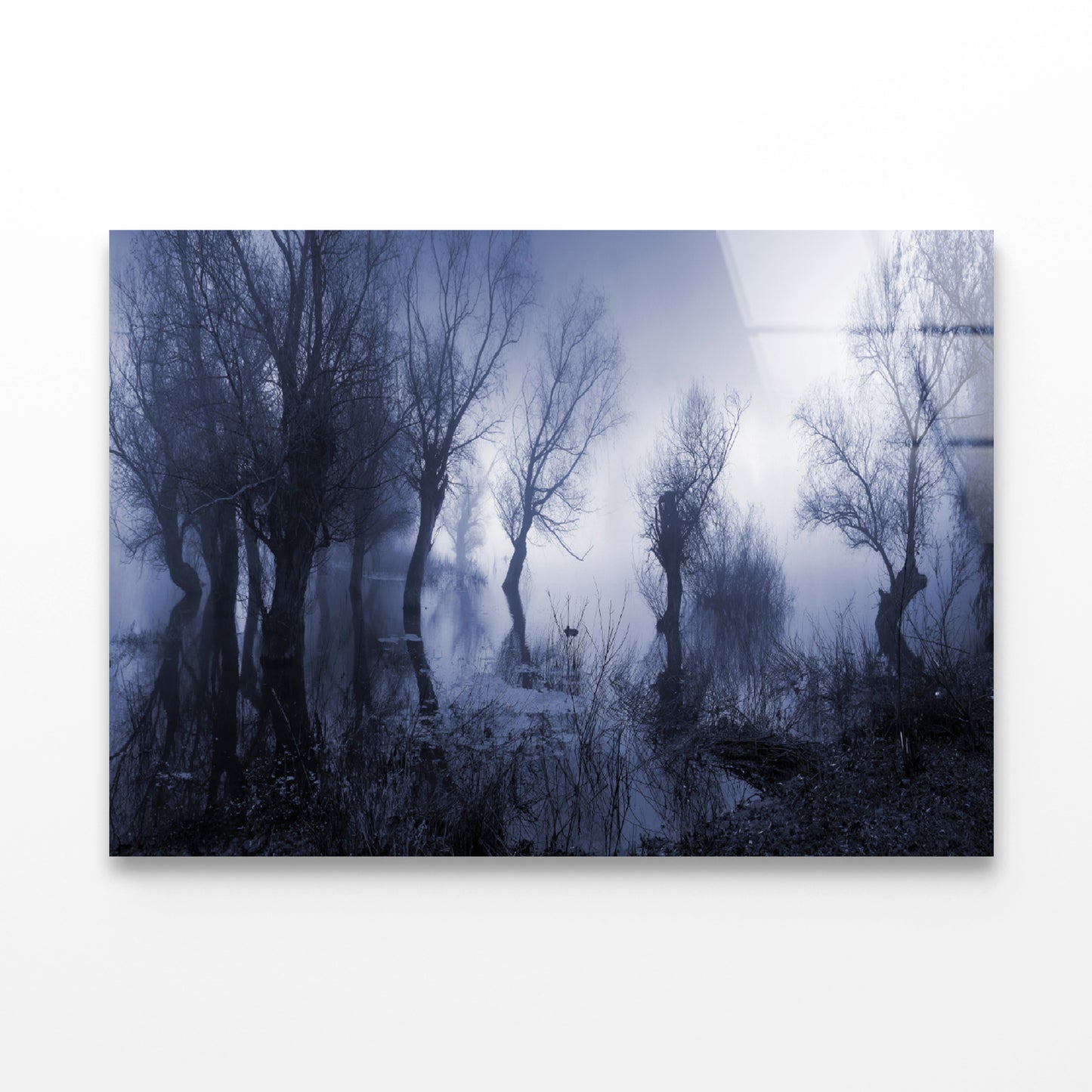 Misty Dark Swamp in autumn Acrylic Glass Print Tempered Glass Wall Art 100% Made in Australia Ready to Hang