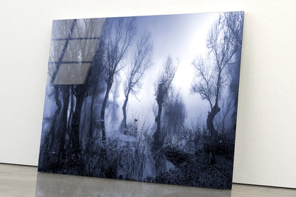 Misty Dark Swamp in autumn Acrylic Glass Print Tempered Glass Wall Art 100% Made in Australia Ready to Hang