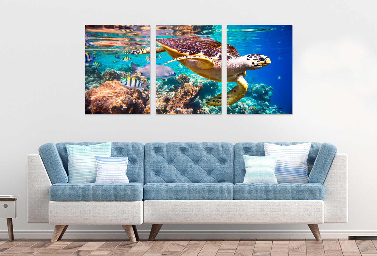 3pcs Sea Turtle Swimming Coral Reefs Wall Art Set Canvas Framed 40x60cm - High Quality Print 100% Australian Made Wall Canvas Ready to Hang