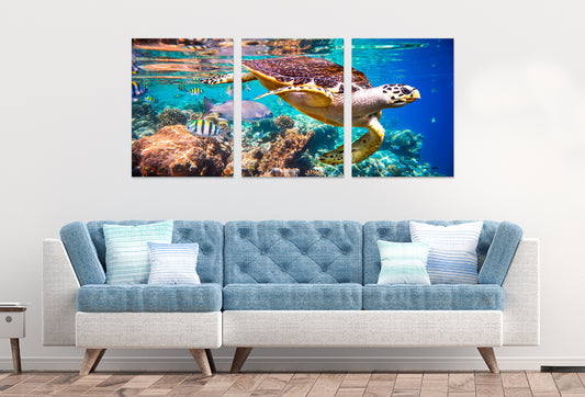 3pcs Sea Turtle Swimming Coral Reefs Wall Art Set Canvas Framed 40x60cm - High Quality Print 100% Australian Made Wall Canvas Ready to Hang