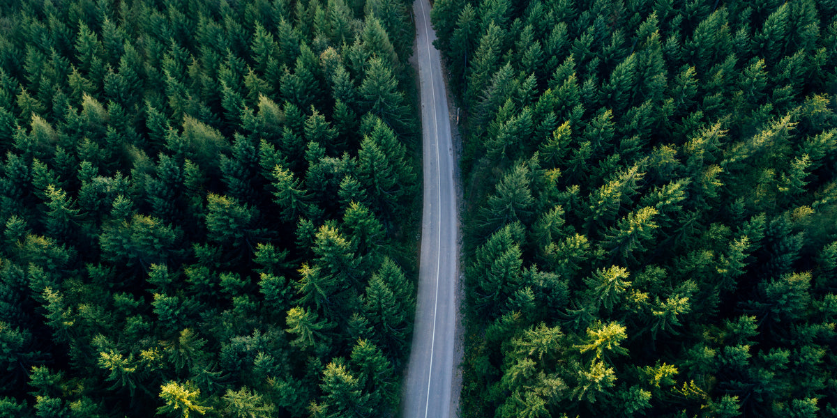Green Pine Tree Forest Aerial View Highway Roadway Wall Art Canvas Office Home Framed 120x60cm