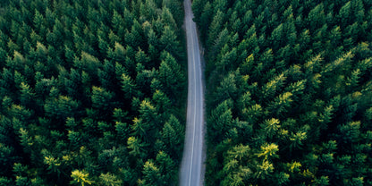 Green Pine Tree Forest Aerial View Highway Roadway Wall Art Canvas Office Home Framed 120x60cm