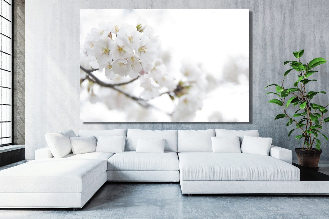 Cherry Blossom Flower Acrylic Glass Print Tempered Glass Wall Art 100% Made in Australia Ready to Hang