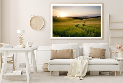 View of a Grassy Field with a Sun, Sky & Plants Home Decor Premium Quality Poster Print Choose Your Sizes