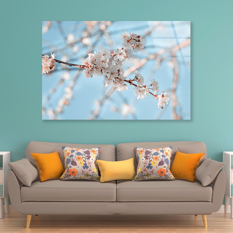 Close-Up Of the Blossoming Branch in Spring Acrylic Glass Print Tempered Glass Wall Art 100% Made in Australia Ready to Hang