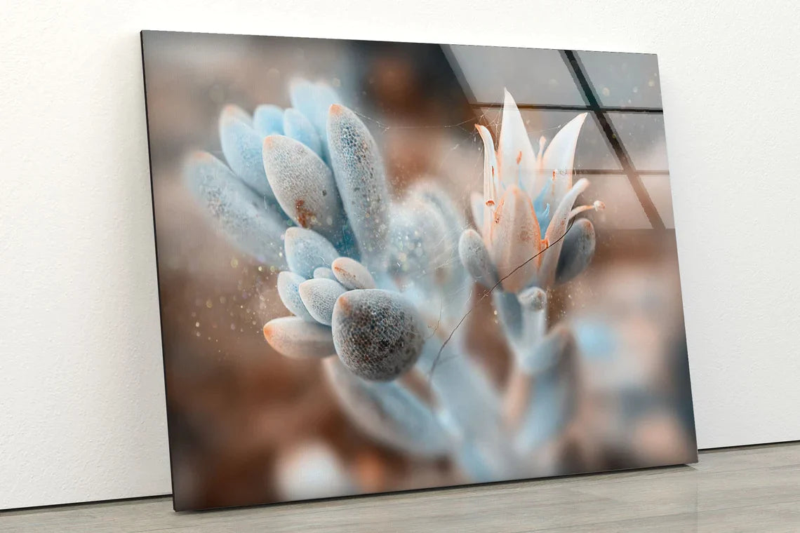 Flower View Photograph UV Direct Aluminum Print Australian Made Quality