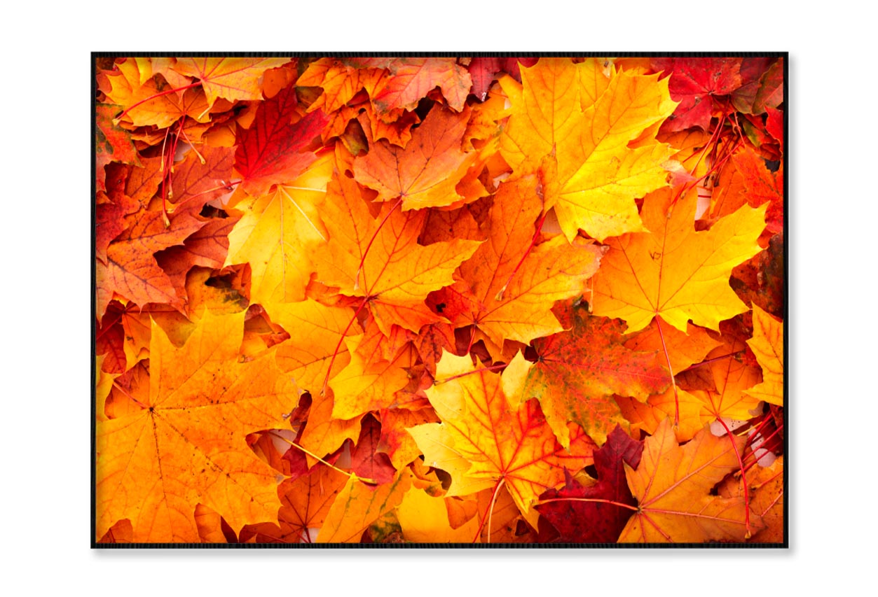 Autumn Orange Leaves Home Decor Premium Quality Poster Print Choose Your Sizes