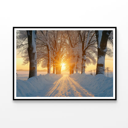 Winter with Tree Alley at Sunset Home Decor Premium Quality Poster Print Choose Your Sizes