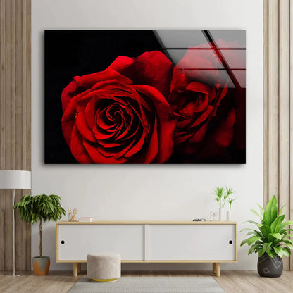 Red Rose Flowers Dark UV Direct Aluminum Print Australian Made Quality