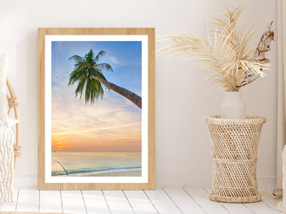 Palm Tree Leaning Over the Ocean at Sunset Photograph Glass Framed Wall Art, Ready to Hang Quality Print With White Border Oak