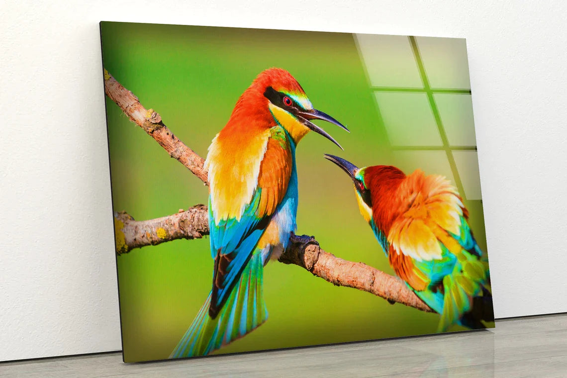 Birds on Tree Branch UV Direct Aluminum Print Australian Made Quality