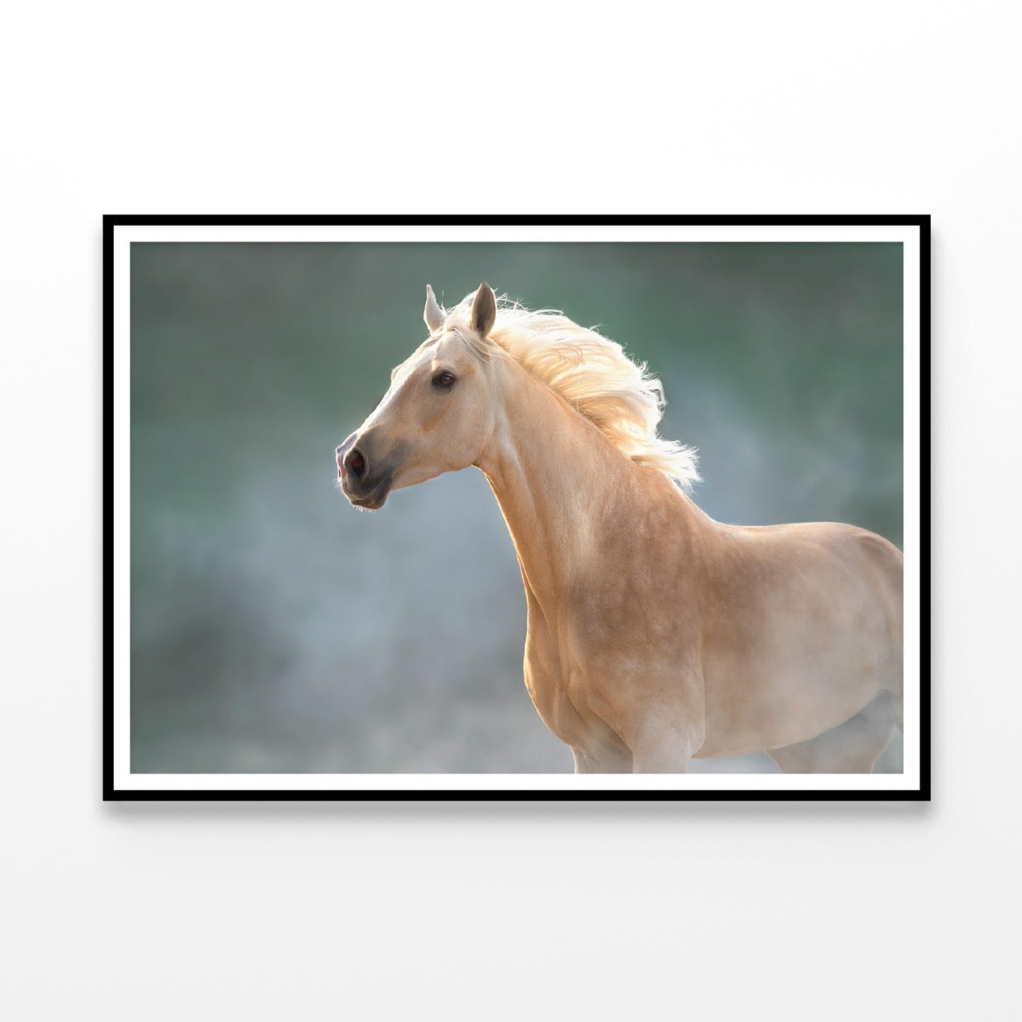 White Lusitano Horse in Movement Home Decor Premium Quality Poster Print Choose Your Sizes