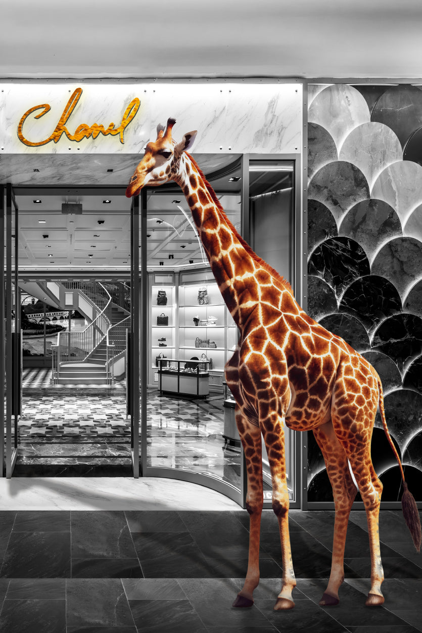 Store With Giraffe Design Home Decor Premium Quality Poster Print Choose Your Sizes