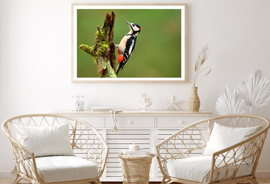 Great Spotted Woodpecker Home Decor Premium Quality Poster Print Choose Your Sizes