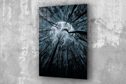 Full Moon Trees View UV Direct Aluminum Print Australian Made Quality