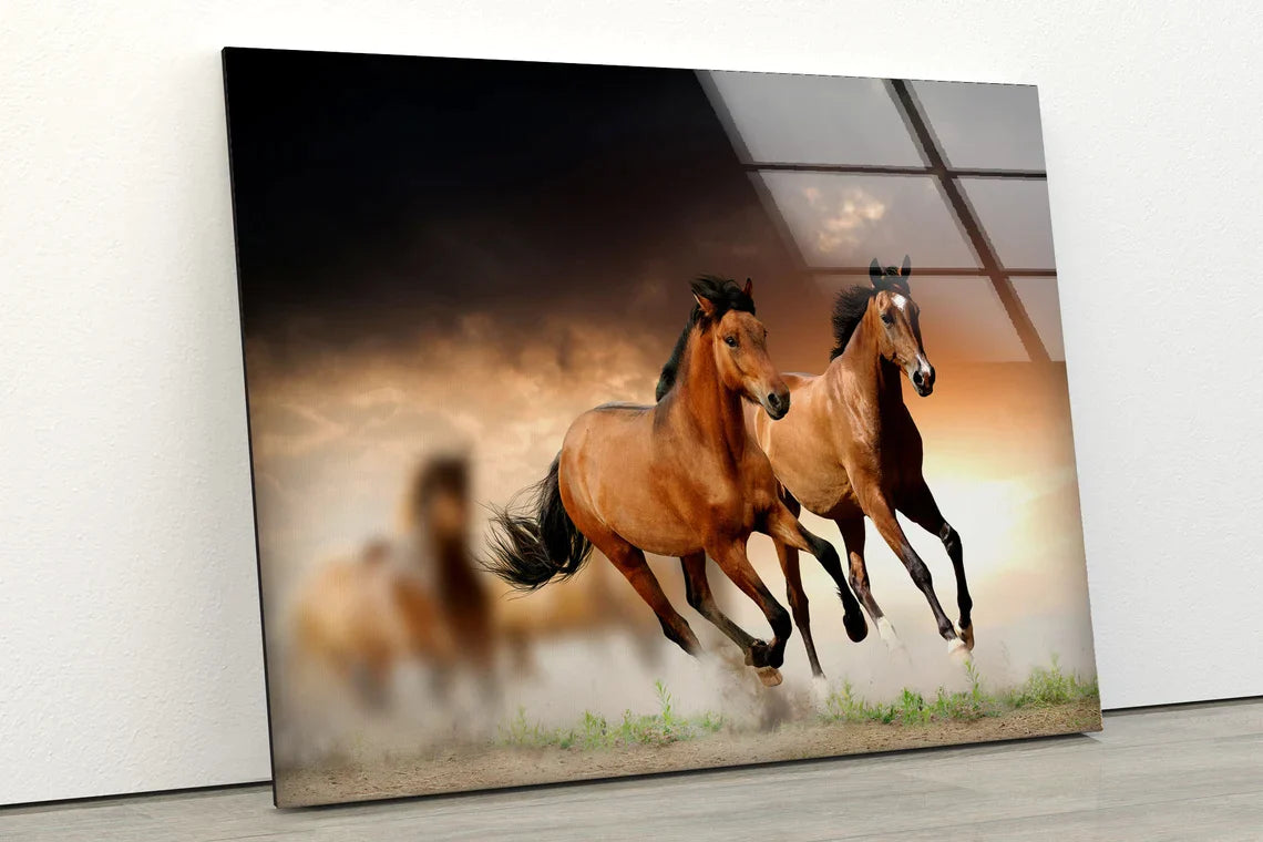 Running Horses Field UV Direct Aluminum Print Australian Made Quality