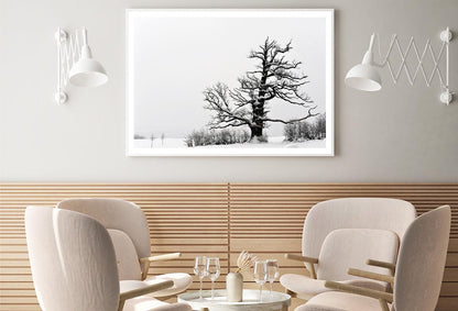 Oak Tree Winter Home Decor Premium Quality Poster Print Choose Your Sizes