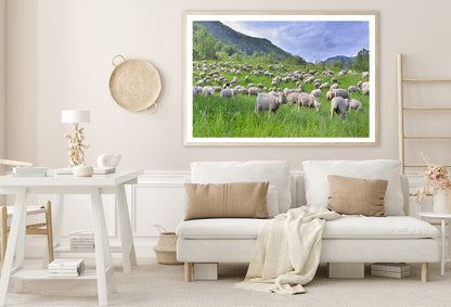 Flock of Sheep in Greenery Grassland at spring Home Decor Premium Quality Poster Print Choose Your Sizes