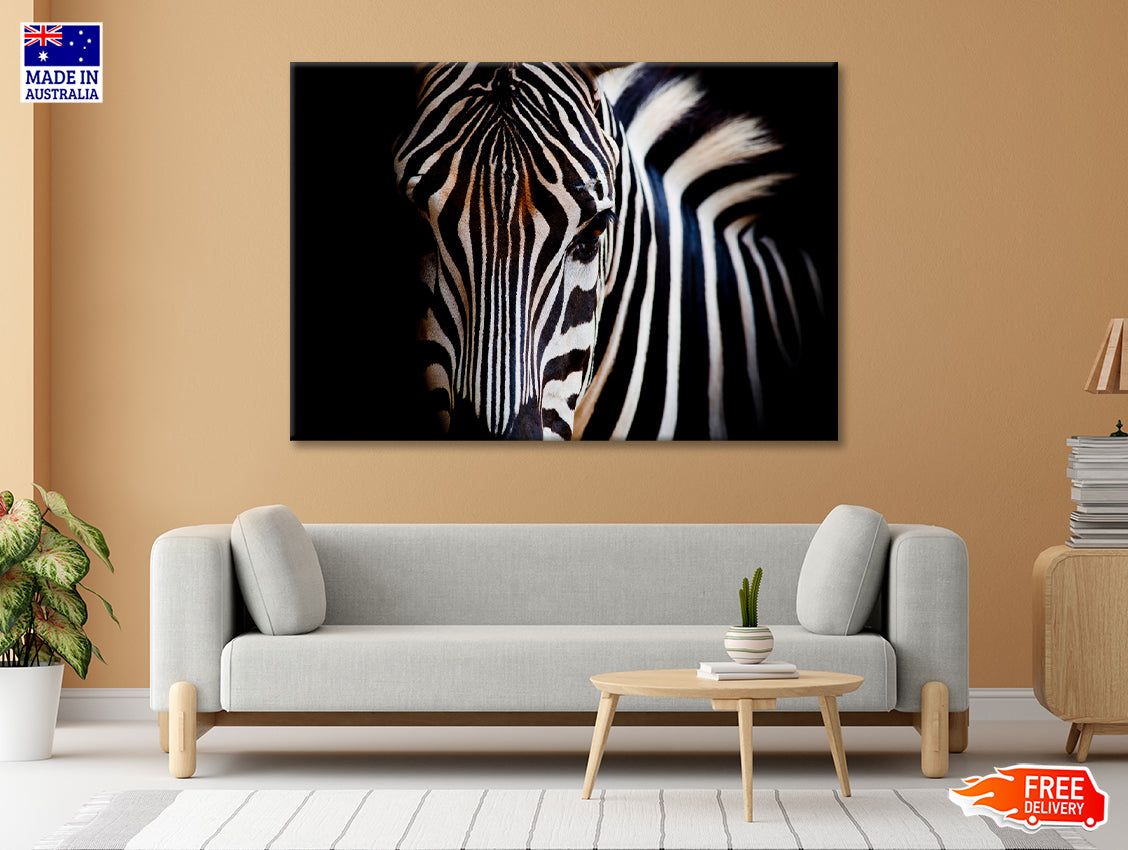 Wild Zebra in Black Background Print 100% Australian Made