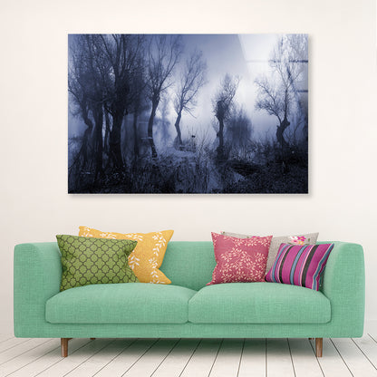 Misty Dark Swamp in autumn Acrylic Glass Print Tempered Glass Wall Art 100% Made in Australia Ready to Hang