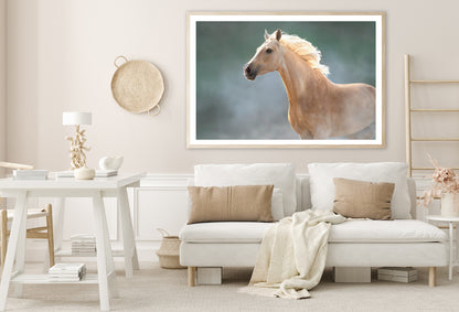 White Lusitano Horse in Movement Home Decor Premium Quality Poster Print Choose Your Sizes