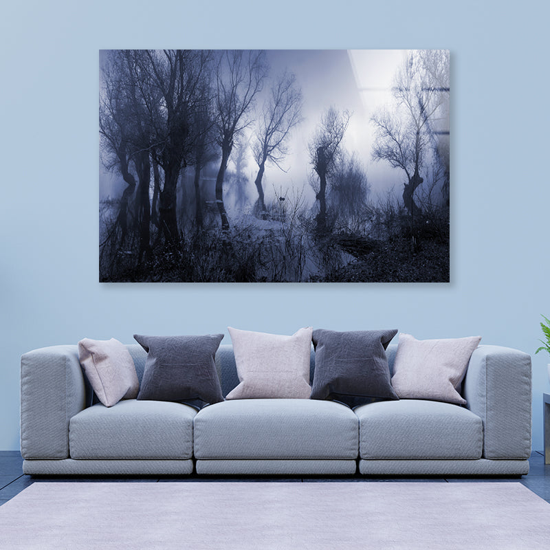 Misty Dark Swamp in autumn Acrylic Glass Print Tempered Glass Wall Art 100% Made in Australia Ready to Hang